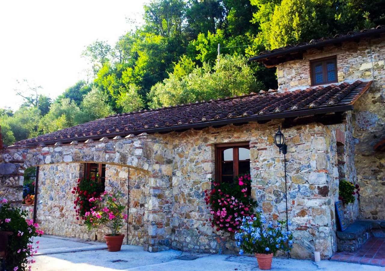 Villa Armonia Borgo a Mozzano Exterior foto